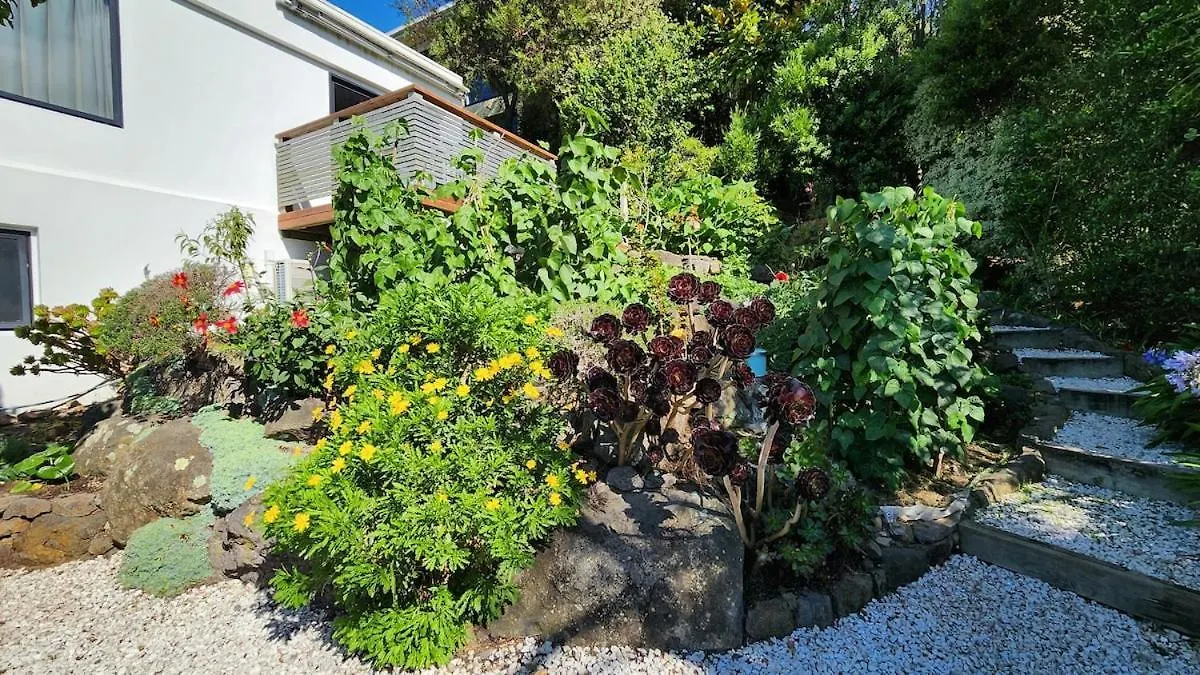 Oceanview Luxury 3Brm Family Retreat Villa Christchurch