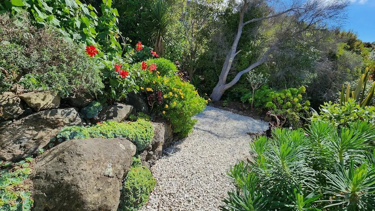 Oceanview Luxury 3Brm Family Retreat Villa Christchurch Holiday home